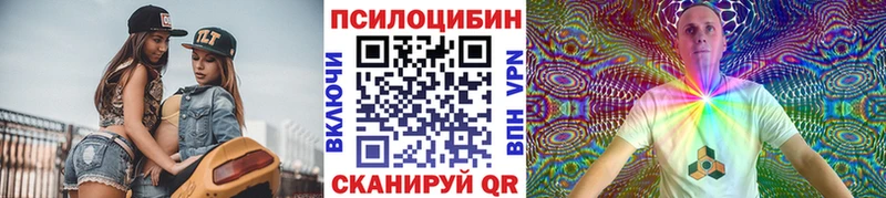 Купить где  Судогда  Псилоцибиновые грибы прущие грибы 