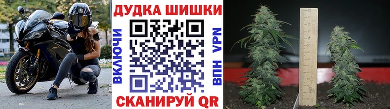 Купить закладки Судогда Канабис White Widow